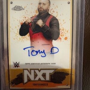 WWE NXT Trading Card with Red and Black Attire
